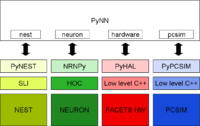 Public--WP7--2ndYear--PyNN schematic.png